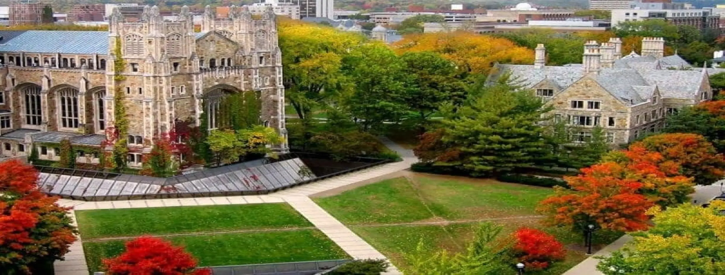 Image for Ann Arbor University